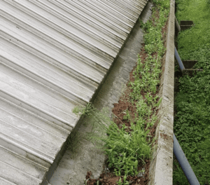Happy customers in Oxford who trust The Roof Moss Cleaners for gutter cleaning services